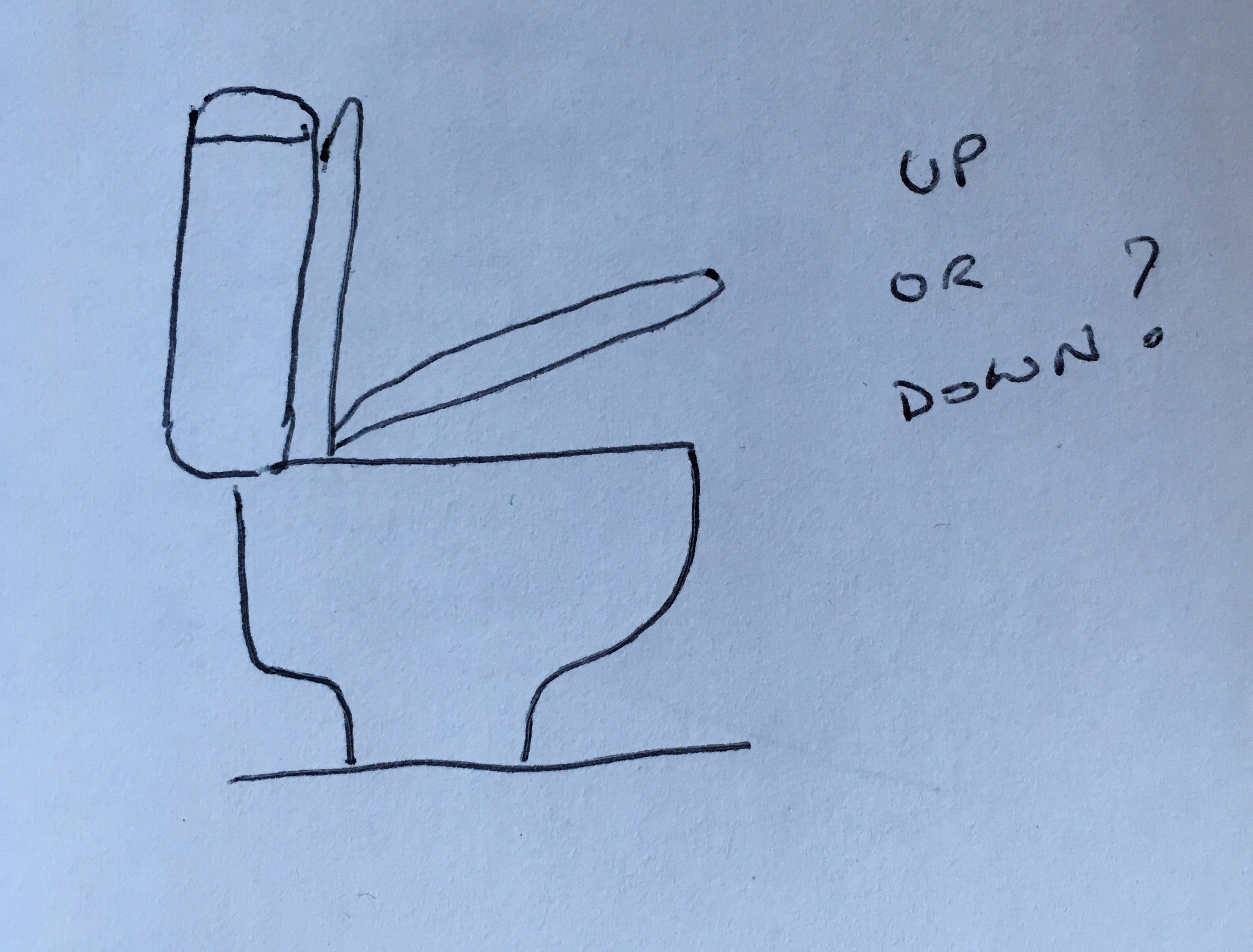 Image of a toilet with seat half way up/down
